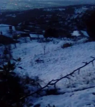 Lena Megalopoli Mallota