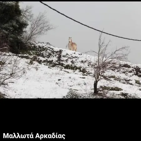 Apartmán Lena Megalopoli