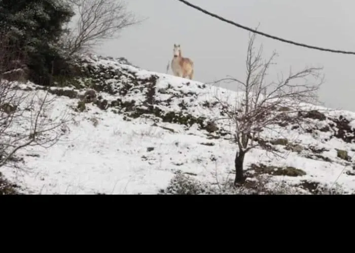 アパート Lena Megalopoli